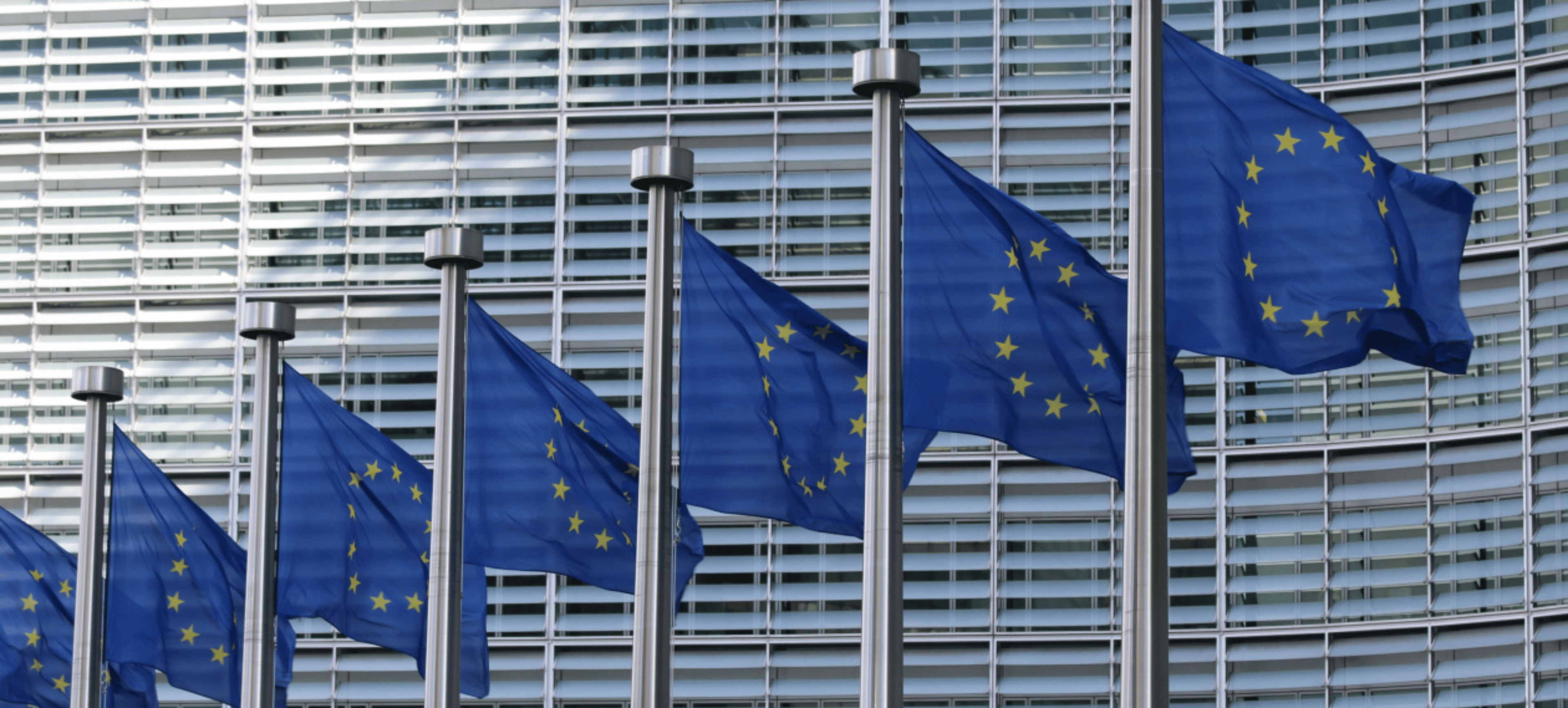 EU DG Trade